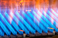 Ashkirk gas fired boilers